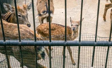 閉園改造前,用35張圖告別武漢動物園!